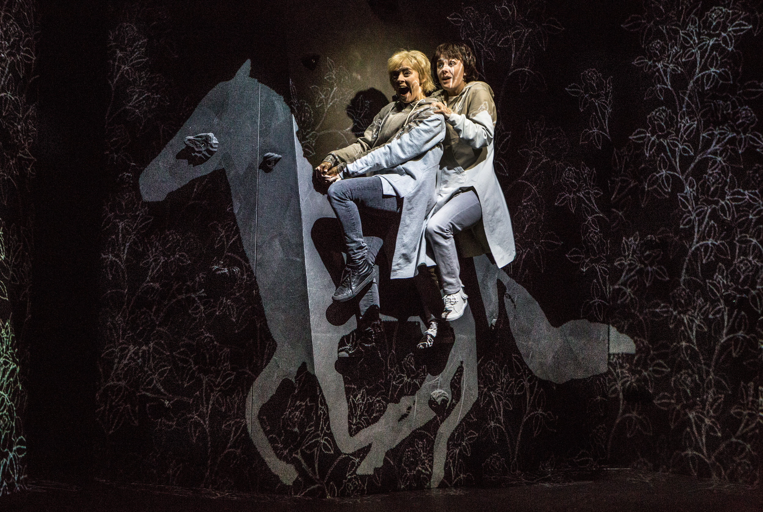 o-que-é-sangria-terapeutica - Atualizações do setor de apostas no Brasil