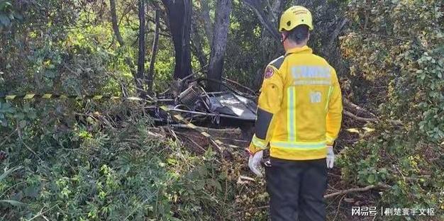 pachinko-jogo - Mercado de apostas brasileiro