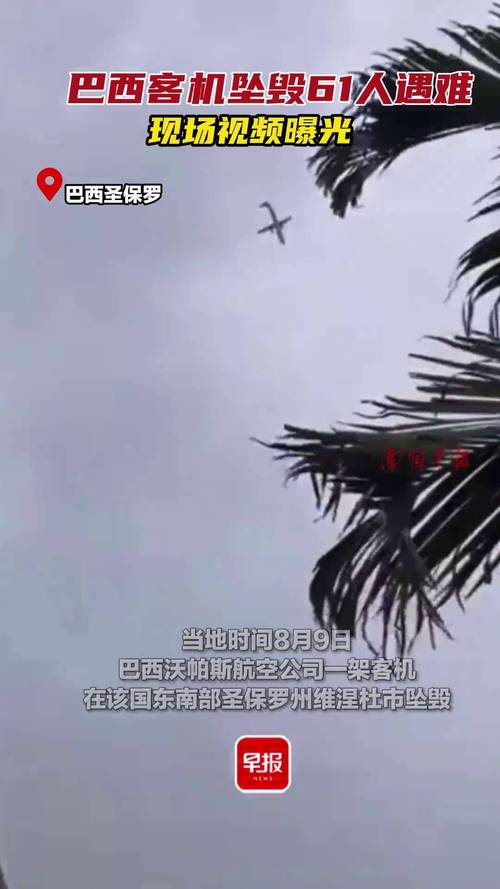 quem-tira-sangue-pode-malhar - Tendências de apostas no Brasil